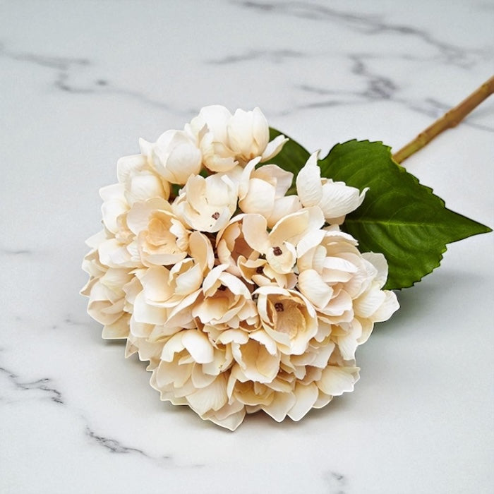 Cream Hydrangea Stem