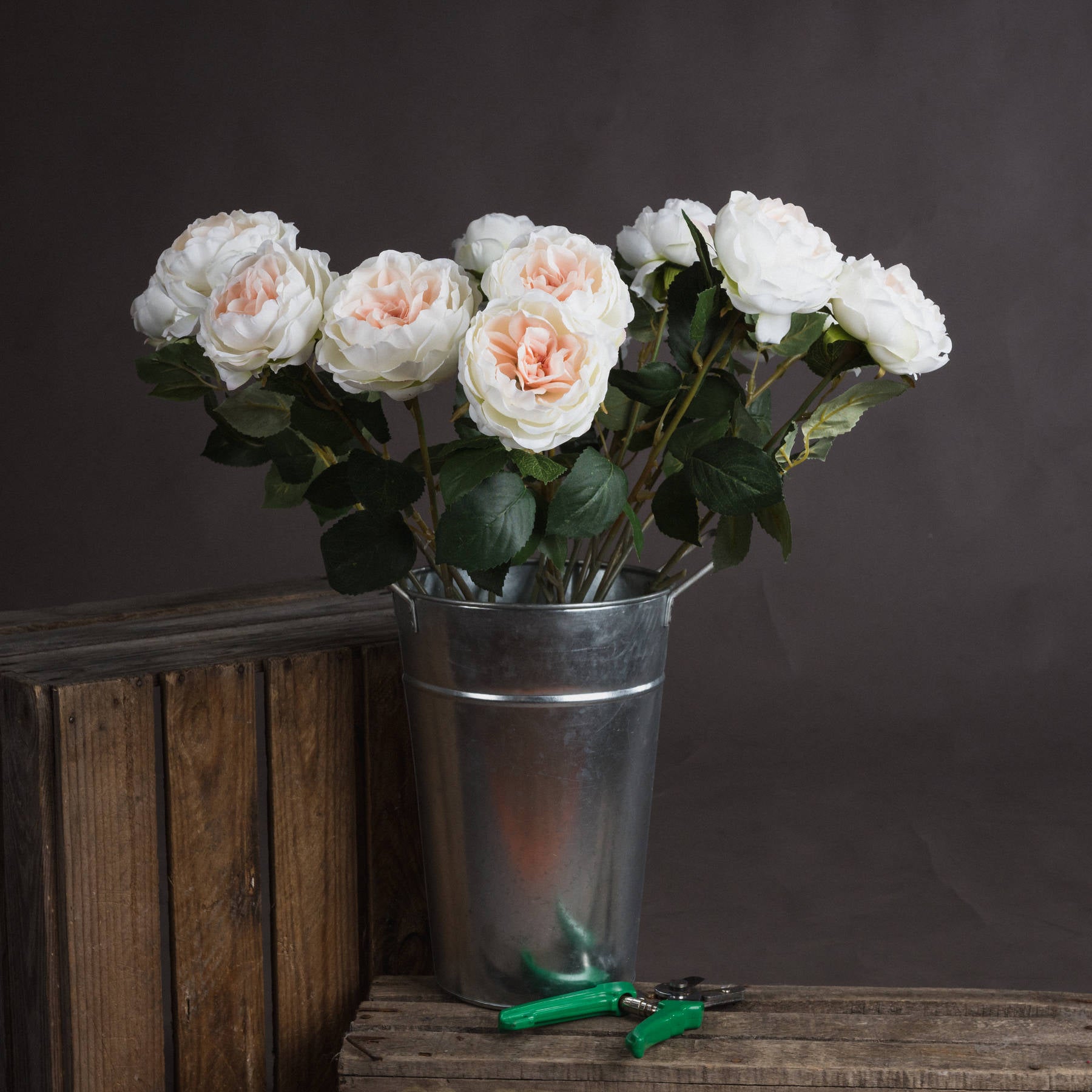 Blush Pink Garden Rose
