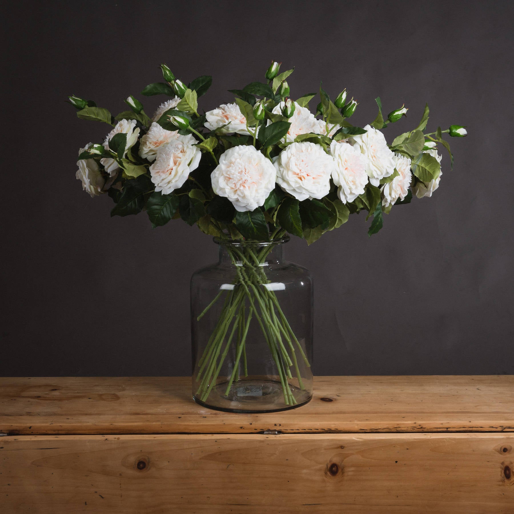 White Garden Rose with Bud