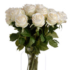 Traditional White Garden Rose