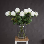 Traditional White Garden Rose
