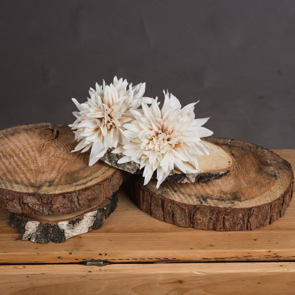 Café Au Lait Dahlia Stem