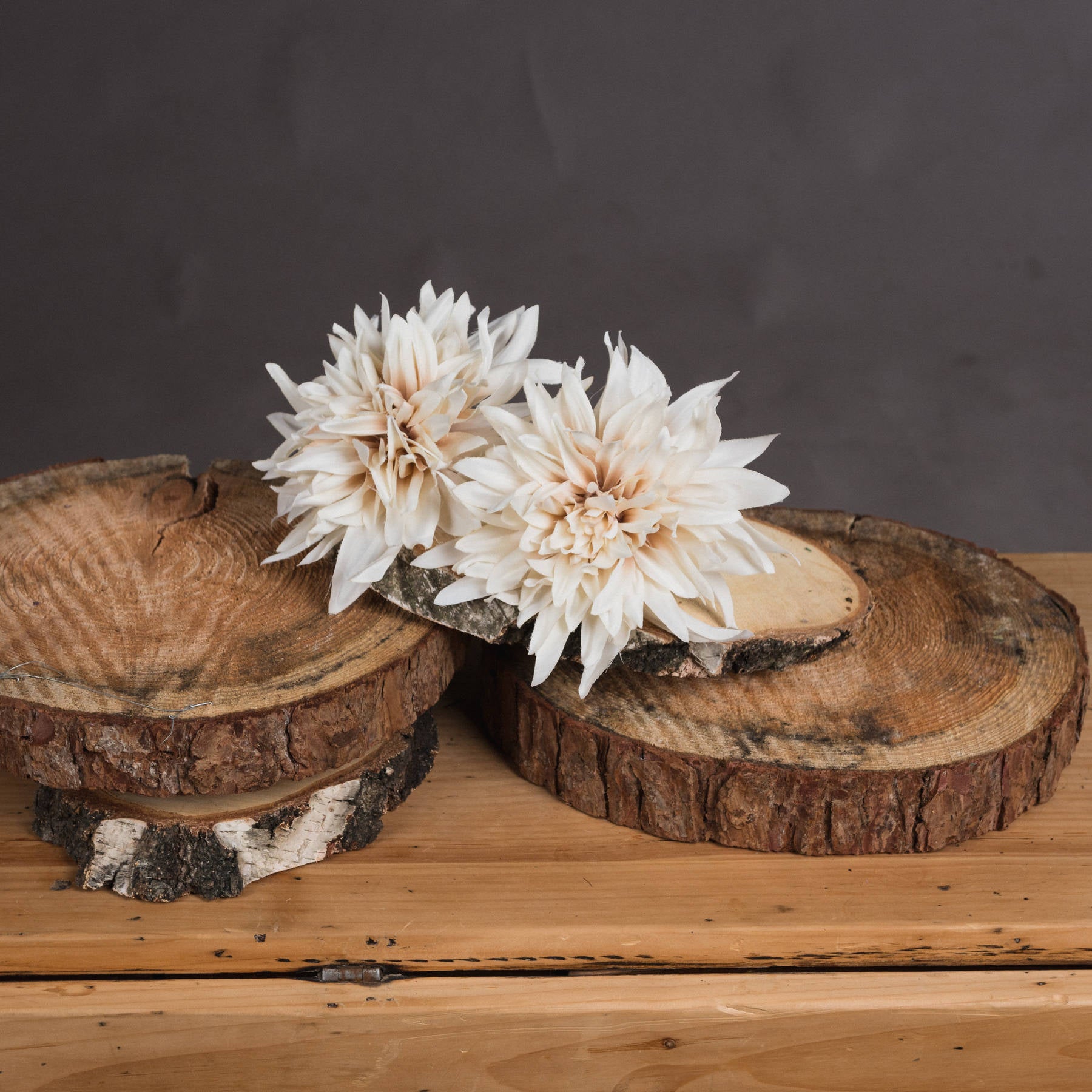 Café Au Lait Dahlia Stem