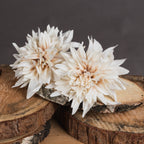 Café Au Lait Dahlia Stem