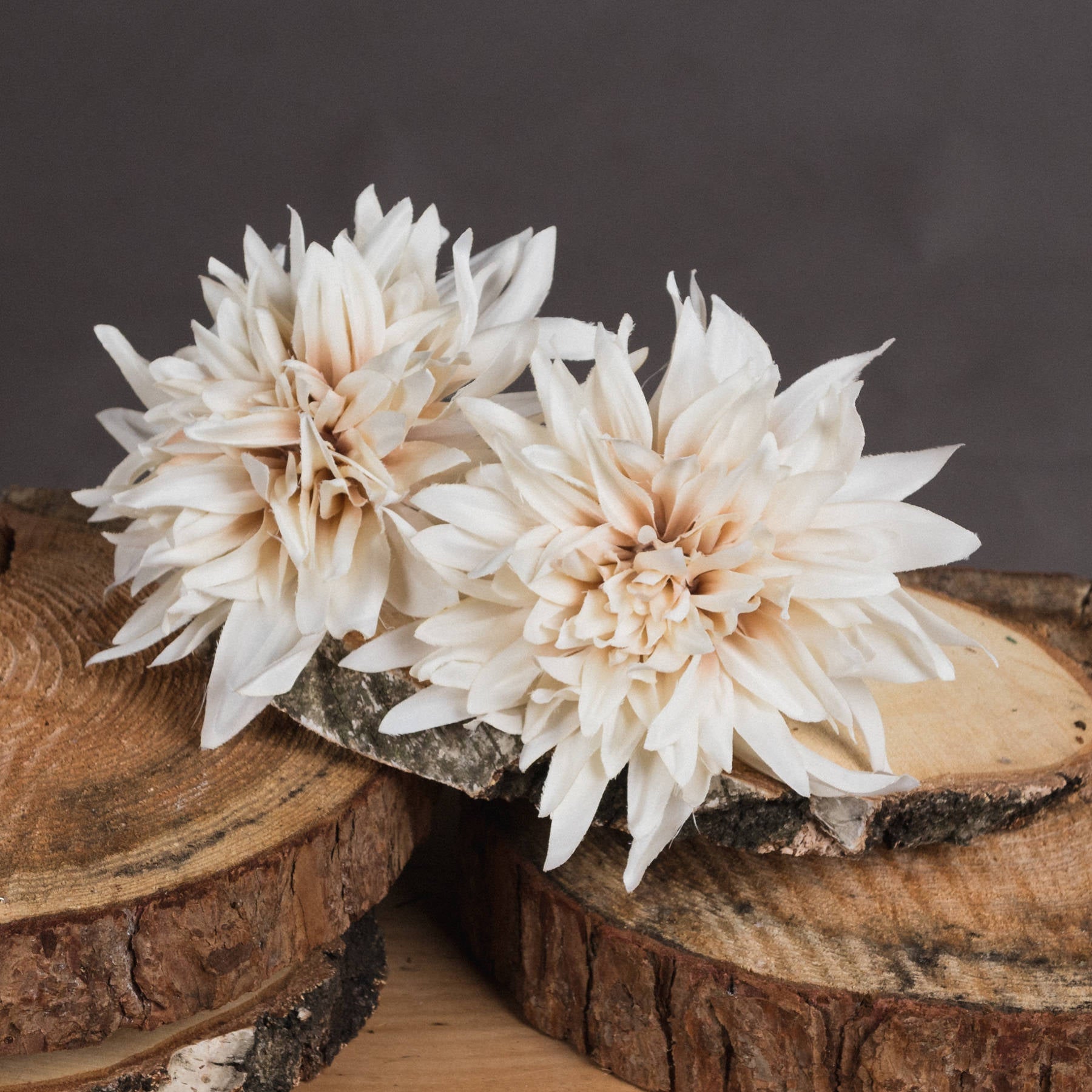 Café Au Lait Dahlia Stem