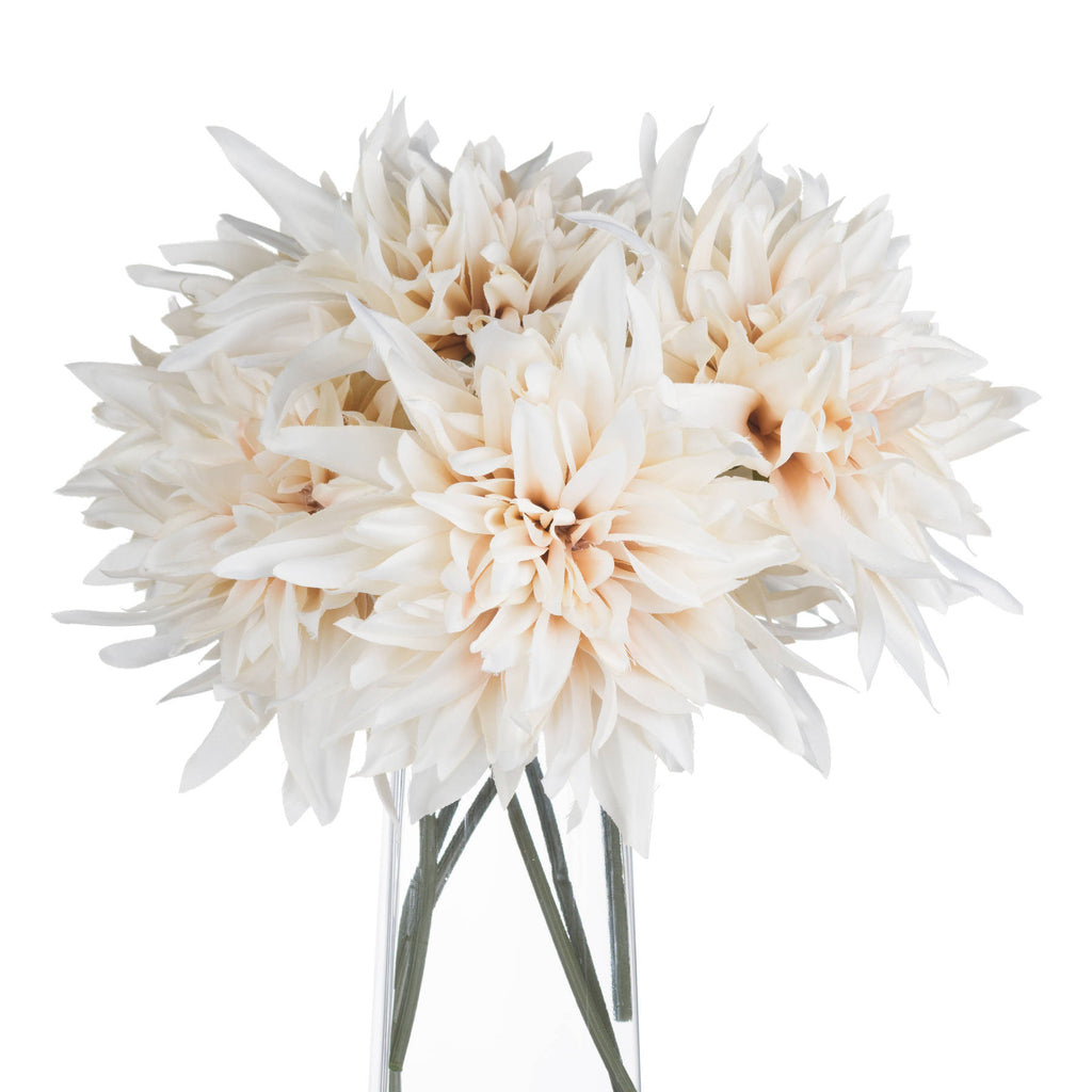 Café Au Lait Dahlia Stem