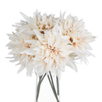Café Au Lait Dahlia Stem
