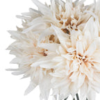 Café Au Lait Dahlia Stem