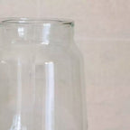 Botanical Glass Vase
