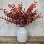 Burgundy Eucalyptus Spray