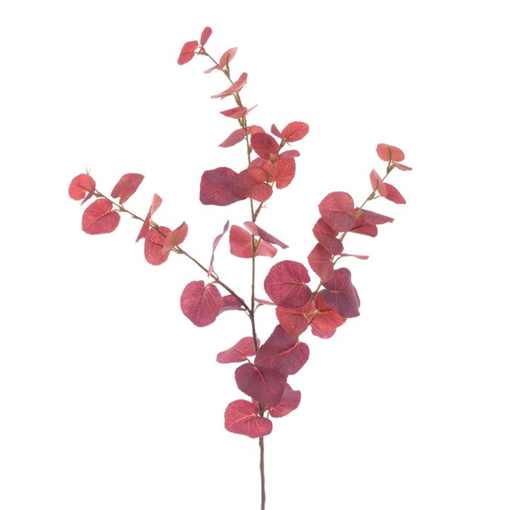 Burgundy Eucalyptus Spray