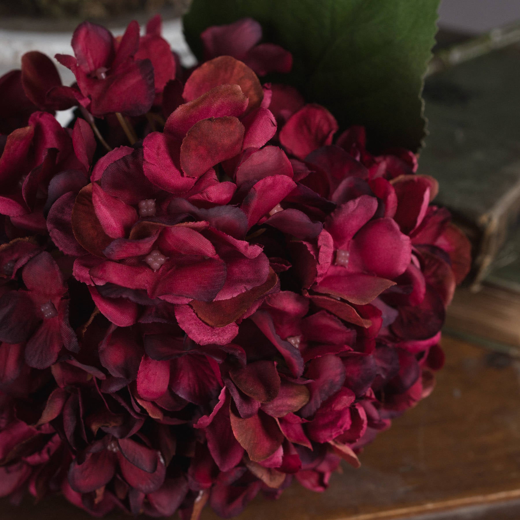 Burgundy Hydrangea Stem