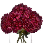 Burgundy Hydrangea Stem