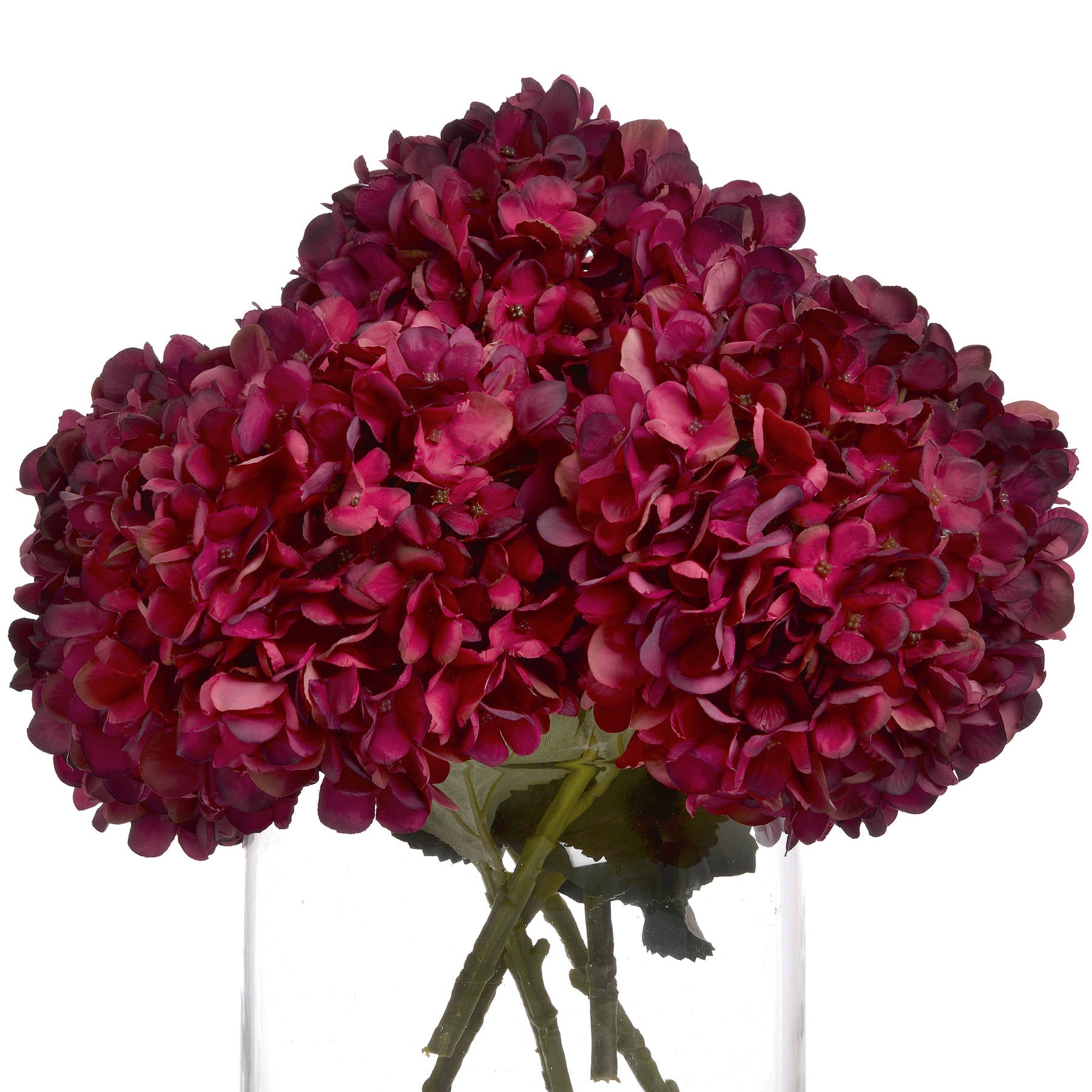 Burgundy Hydrangea Stem