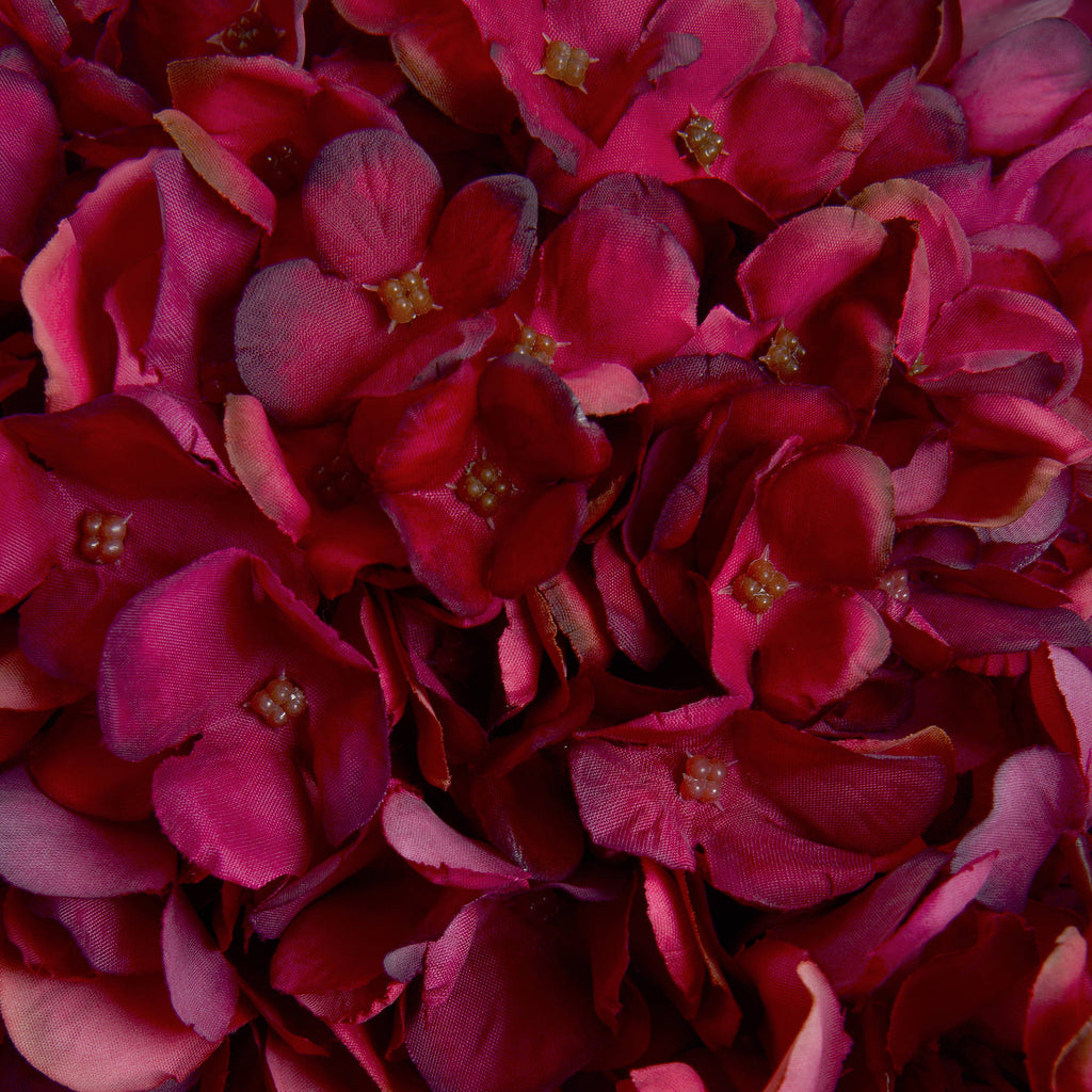 Burgundy Hydrangea Stem
