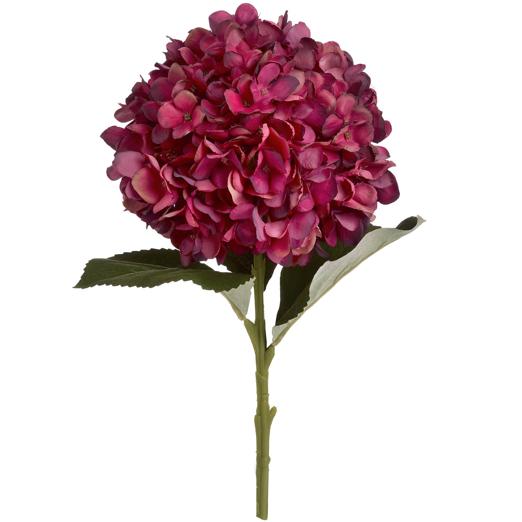 Burgundy Hydrangea Stem