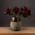 Burgundy Peony Stem