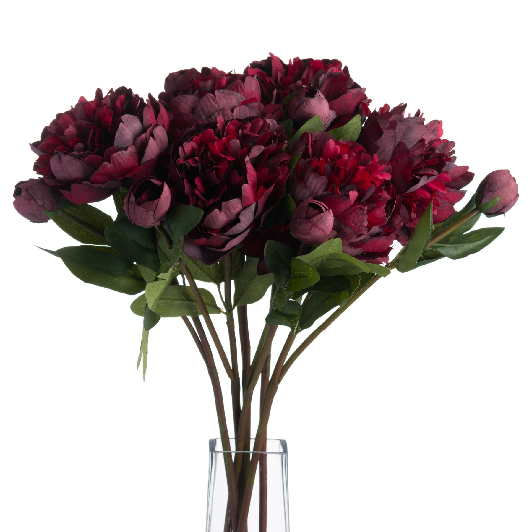 Burgundy Peony Stem