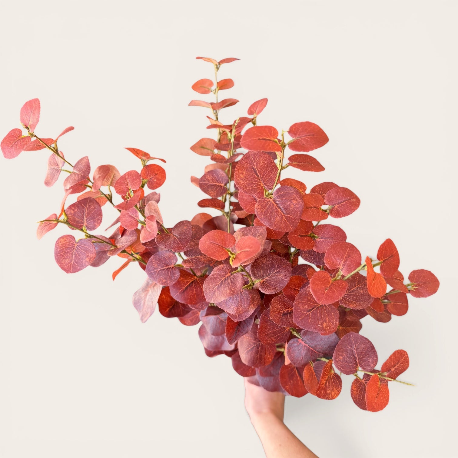 Burgundy Eucalyptus Spray