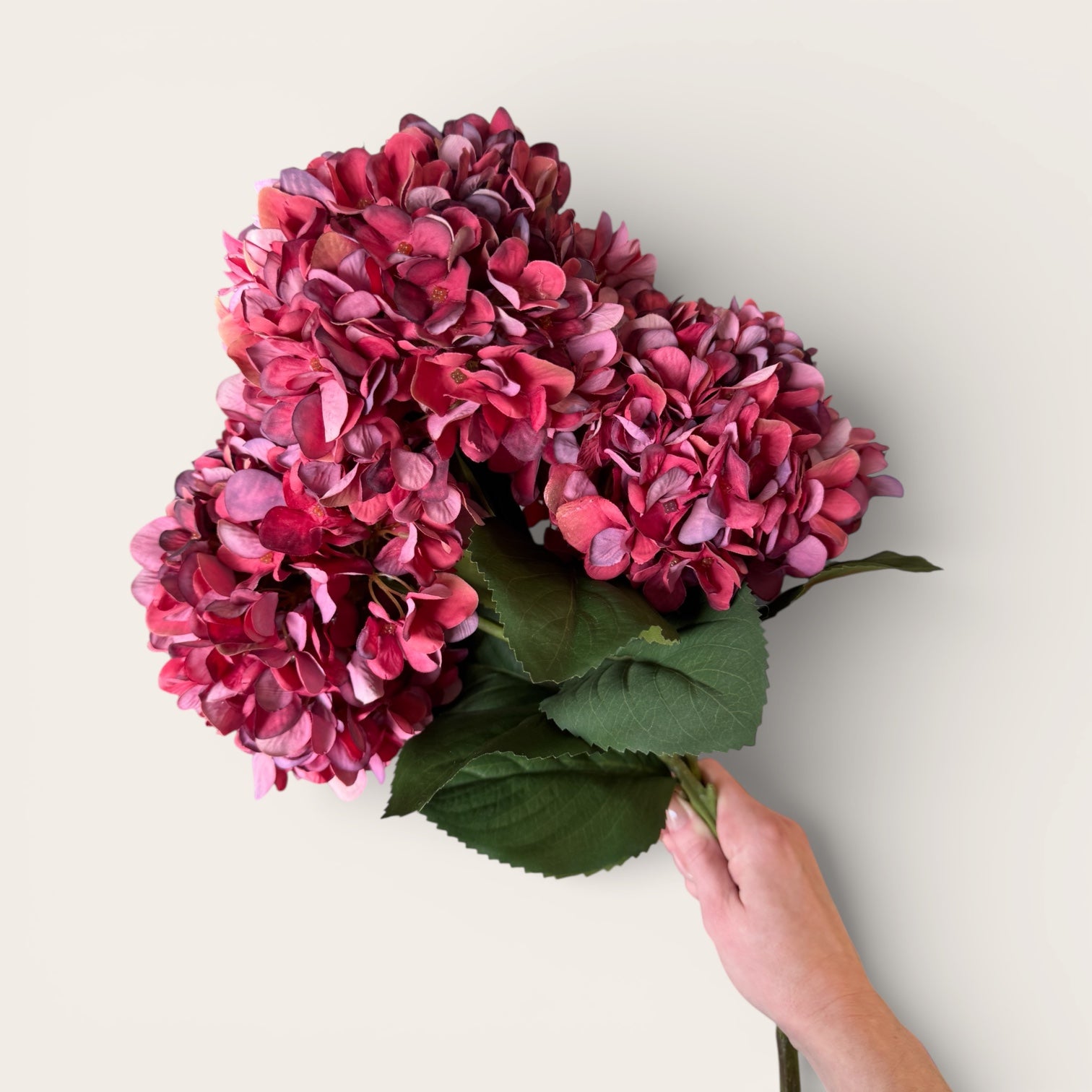 Burgundy Hydrangea Stem