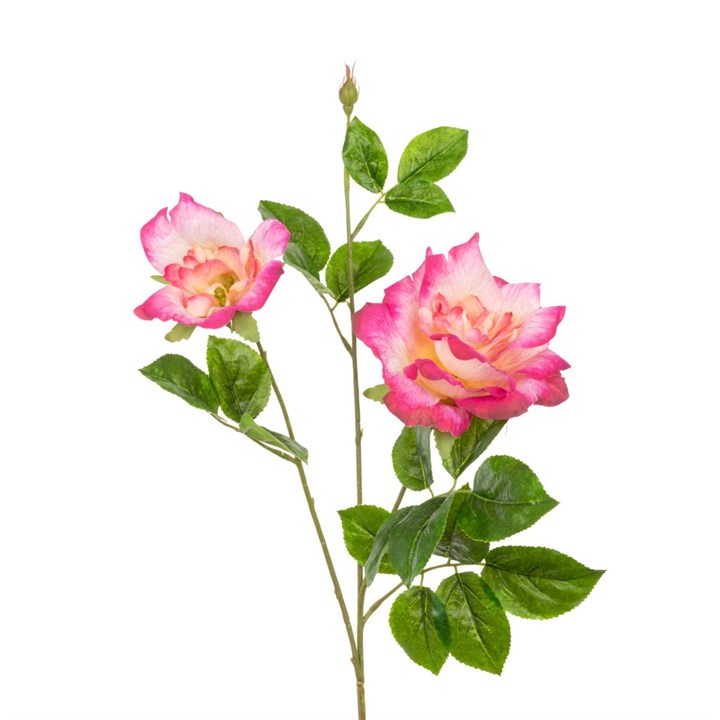 Pink Charlotte Rose Spray
