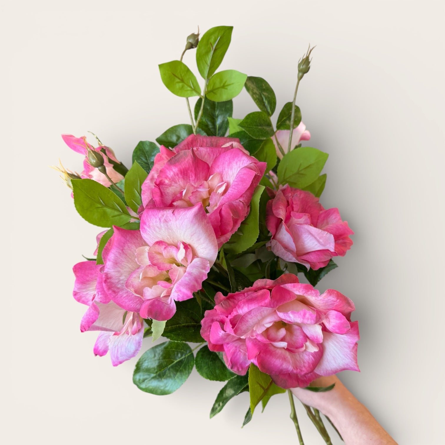 Pink Charlotte Rose Spray