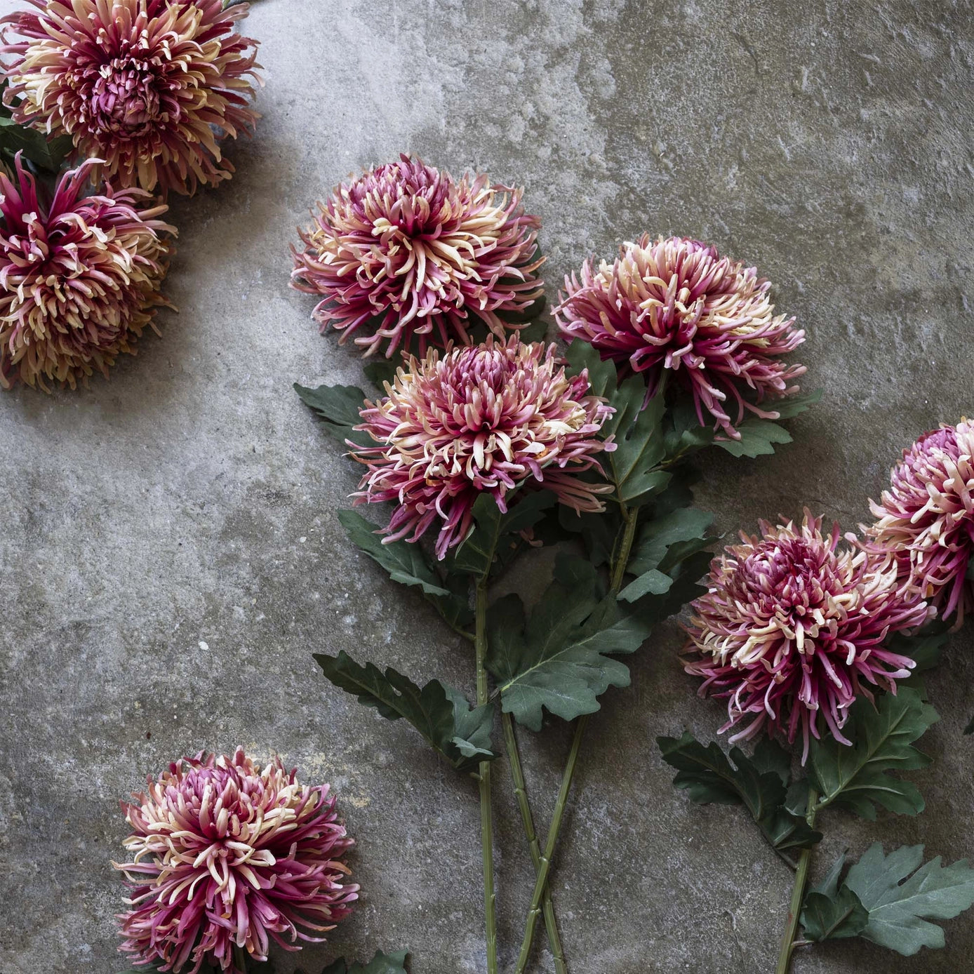 Artificial Chrysanthemum Pink Ombre