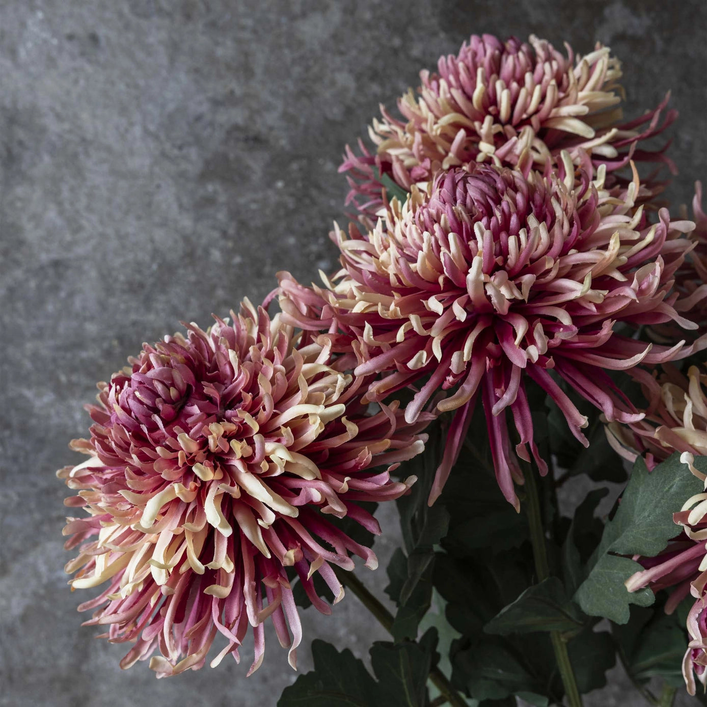 Artificial Chrysanthemum Pink Ombre