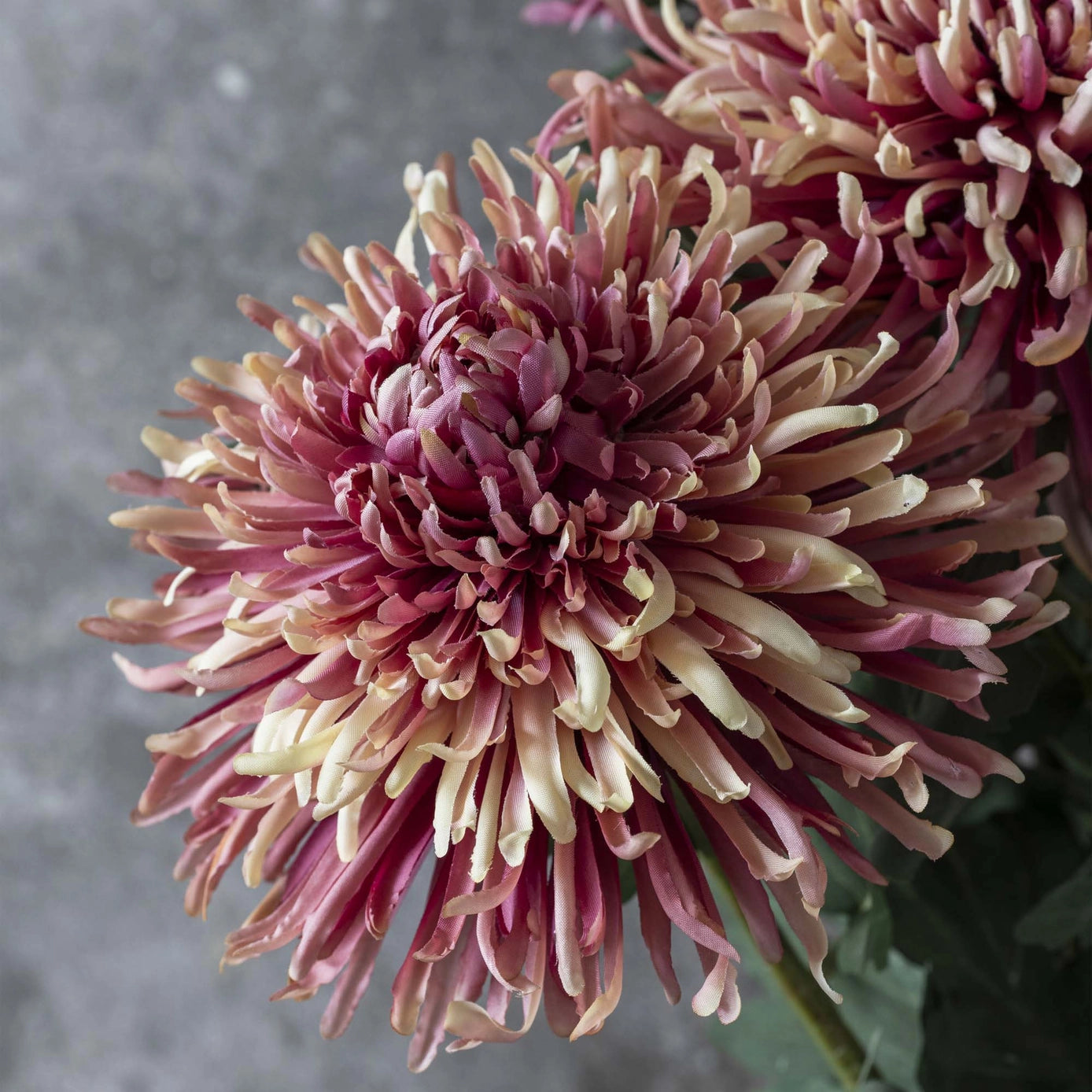 Artificial Chrysanthemum Pink Ombre