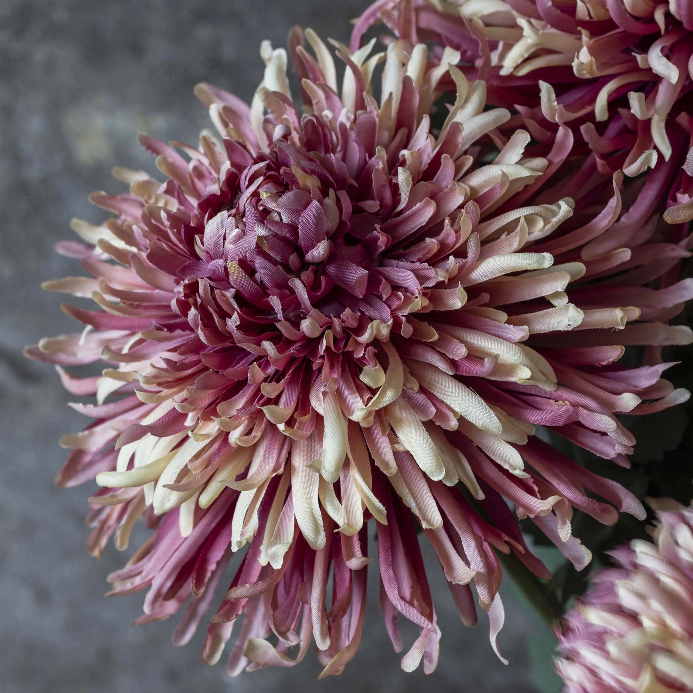Artificial Chrysanthemum Pink Ombre
