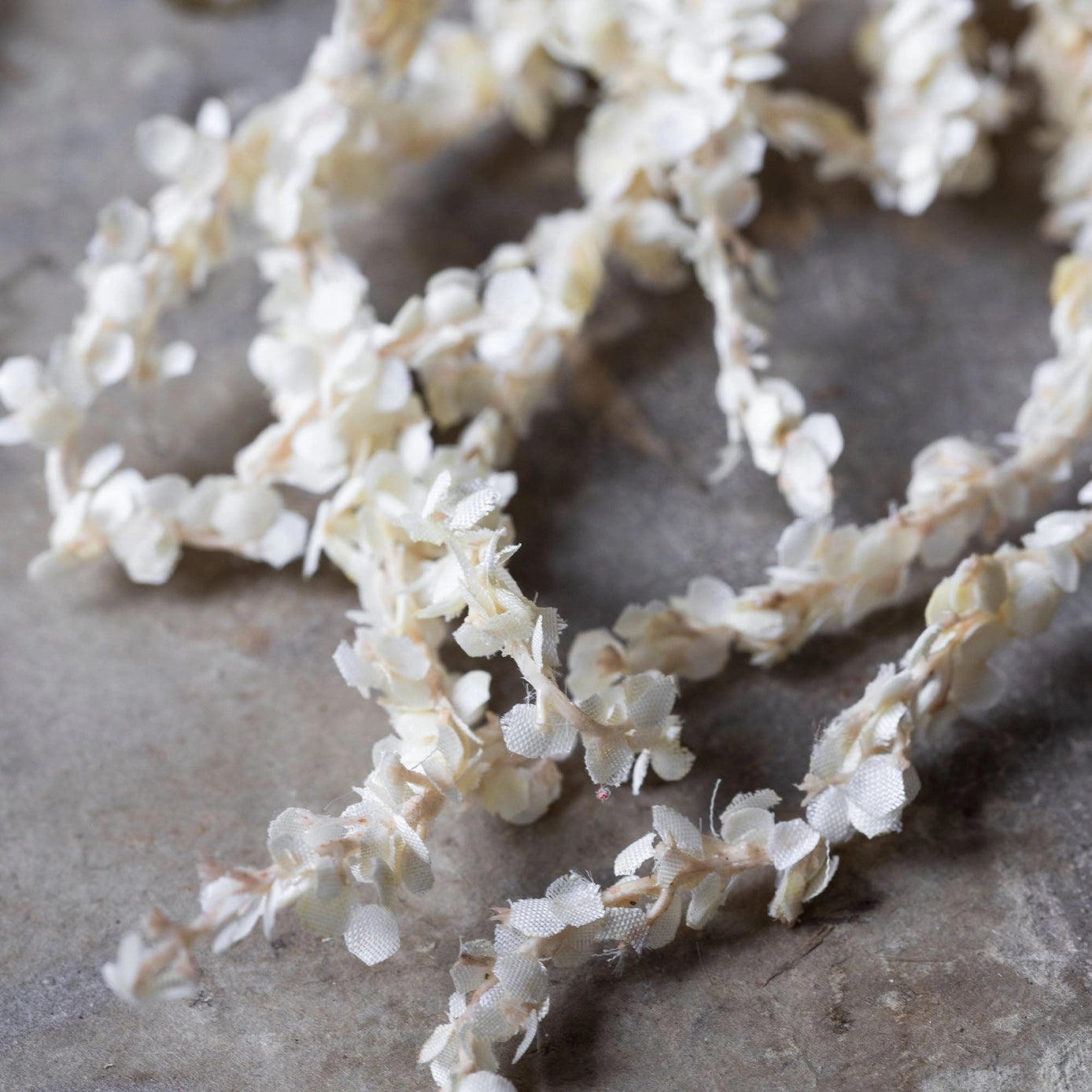 Cream Amaranthus Stem