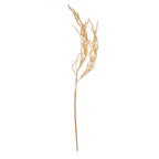 Cream Amaranthus Stem