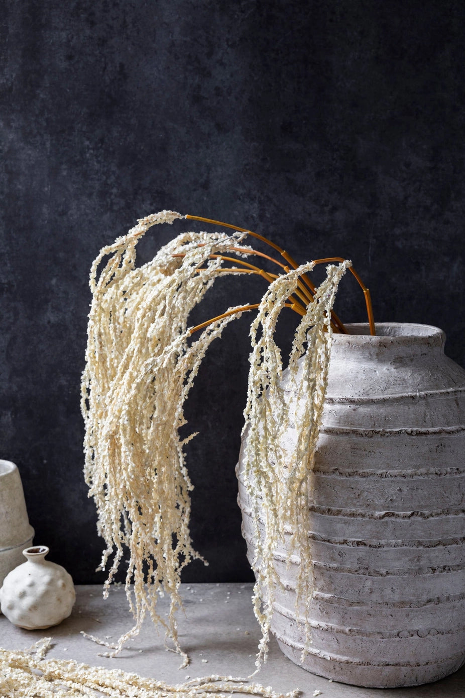 Cream Amaranthus Stem