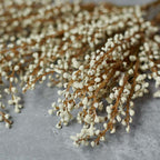 Cream Heather Bunch Stem