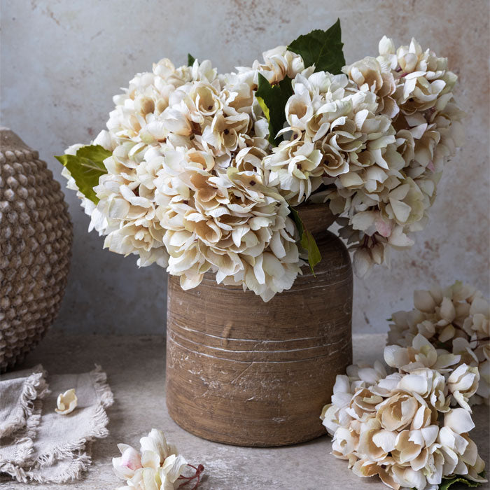 Cream Hydrangea Stem