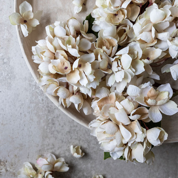 Cream Hydrangea Stem