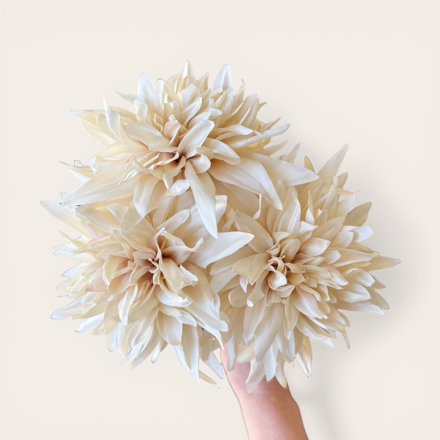 Café Au Lait Dahlia Stem
