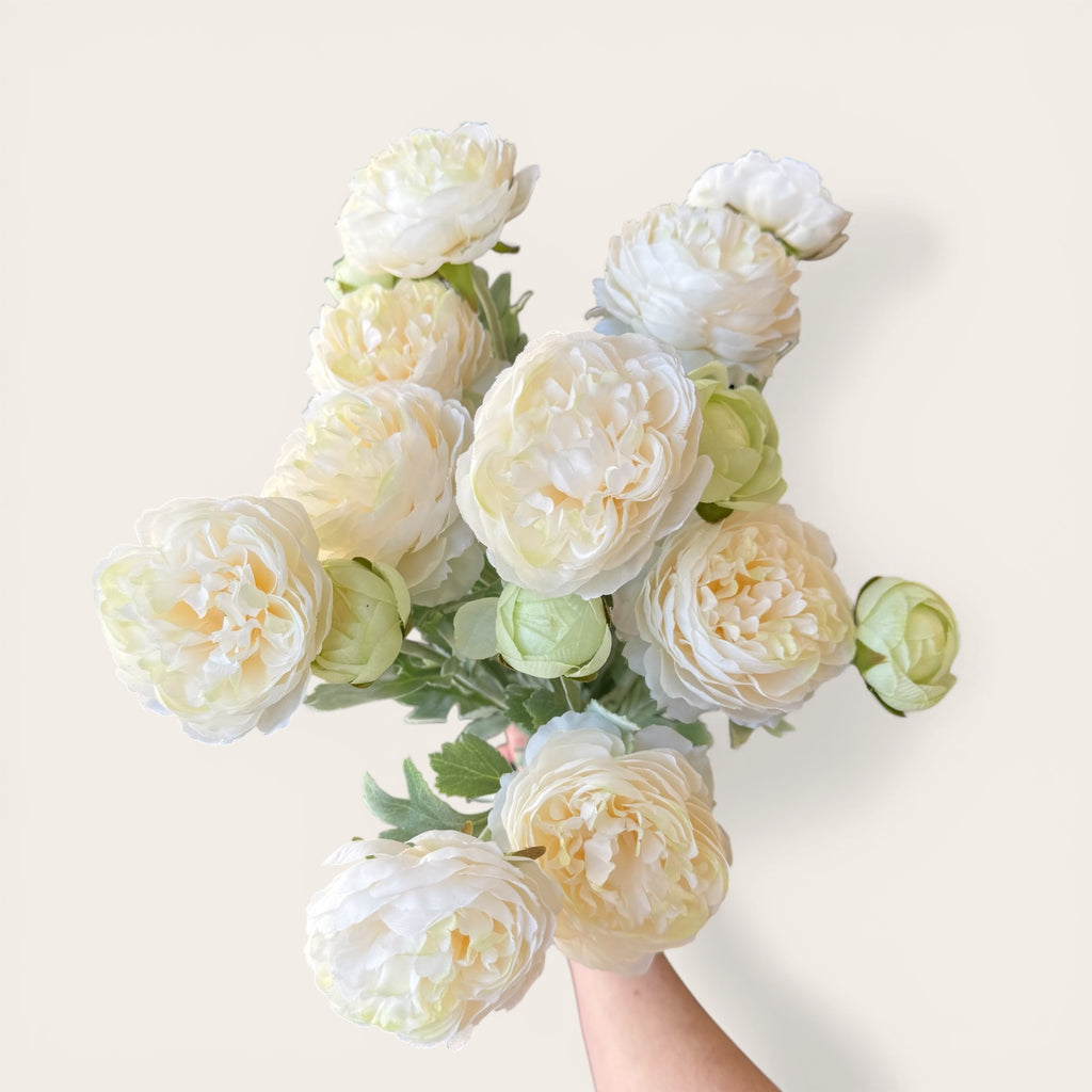 Cream Ranunculus