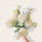 Cream Ranunculus