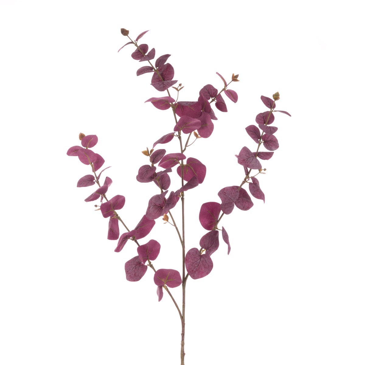 Dark Burgundy Eucalyptus Spray