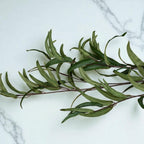 Eucalyptus Nicholii Spray