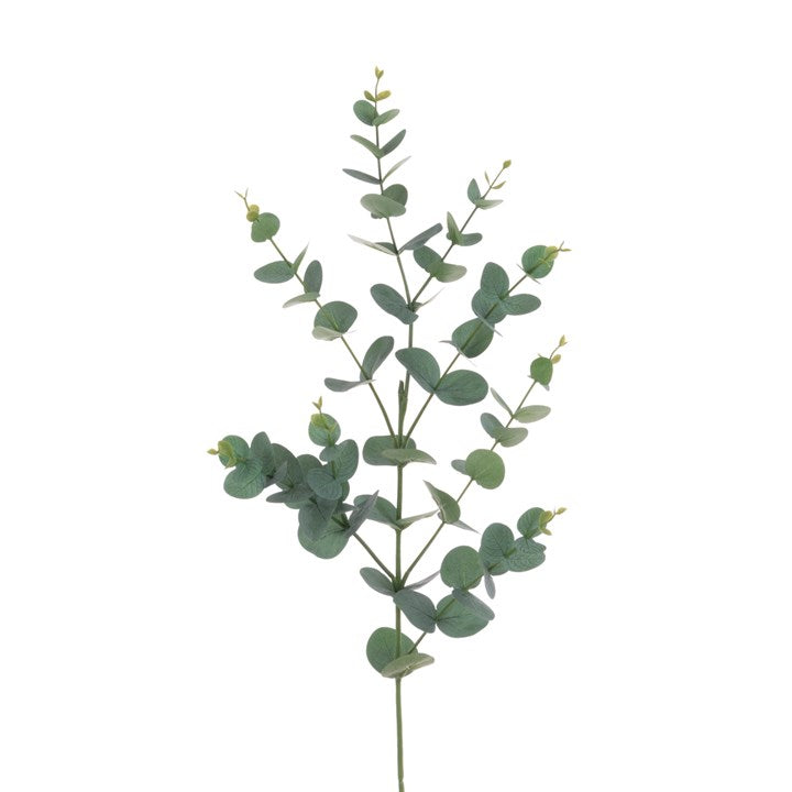 Green Eucalyptus Spray