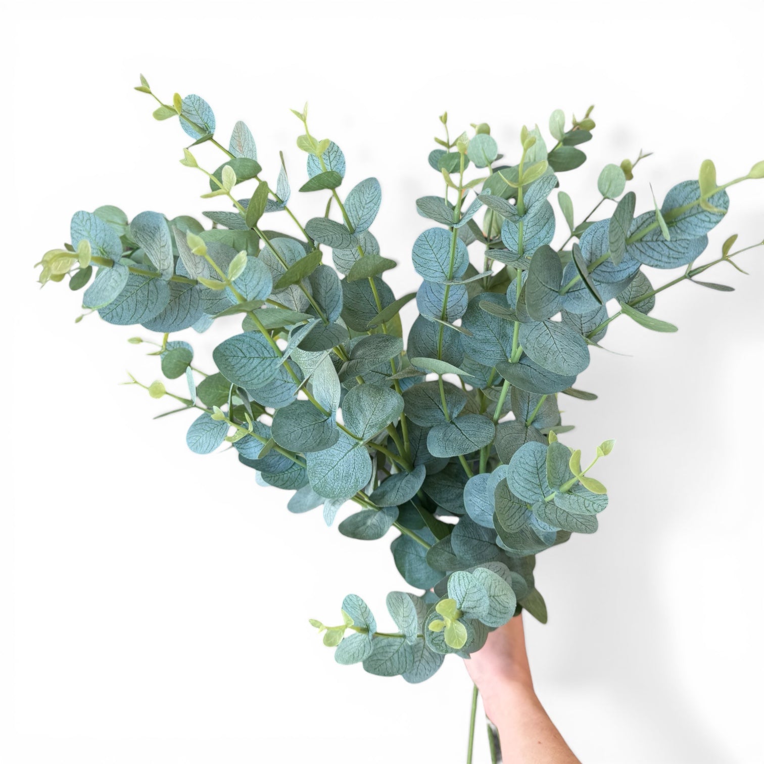 Green Eucalyptus Spray