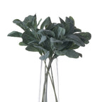 Lambs Ear Stem