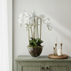 Large White Orchid in Glass Pot
