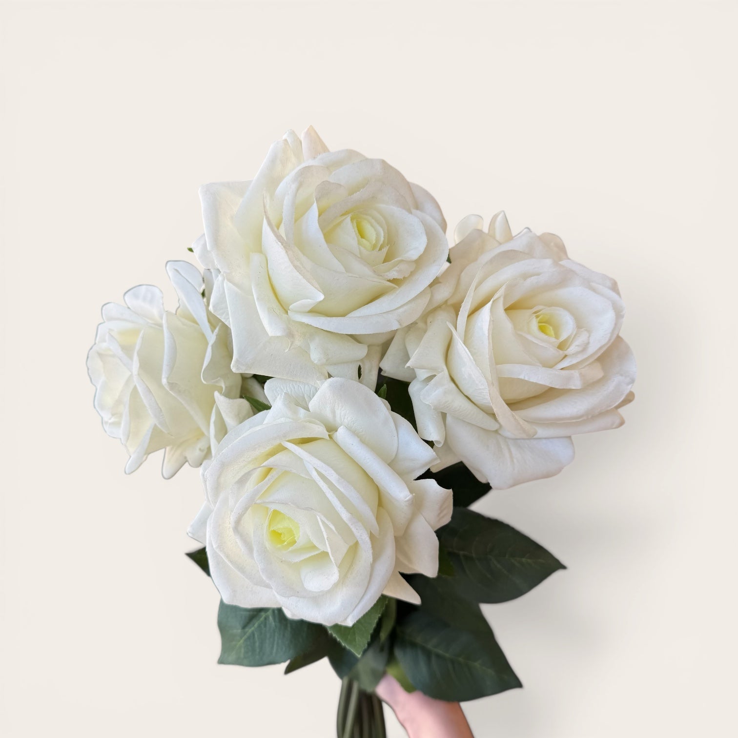 Large White Garden Rose