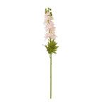 Pale Pink Elatum Delphinium