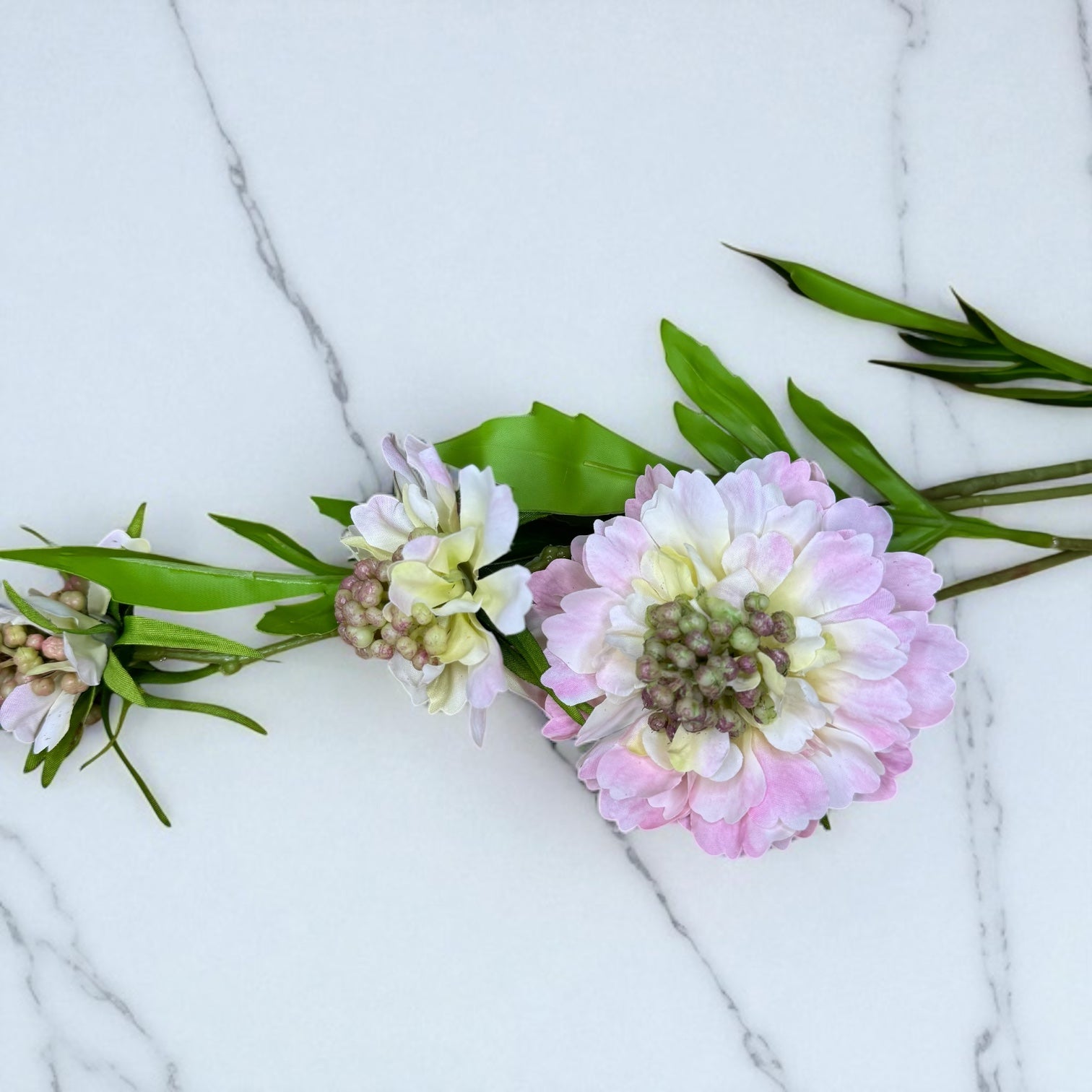 Pale Pink Scabious Stem