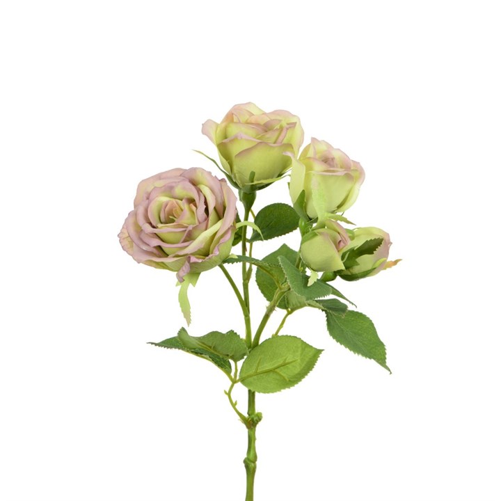 Pink Old English Rose Spray