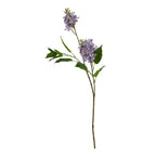 Purple Lilac Stem